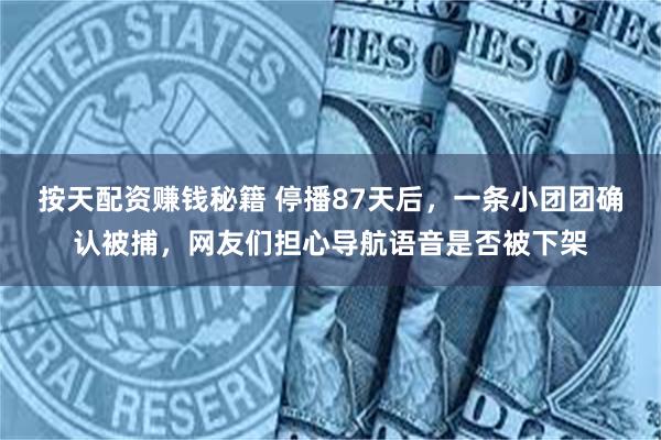 按天配资赚钱秘籍 停播87天后，一条小团团确认被捕，网友们担心导航语音是否被下架