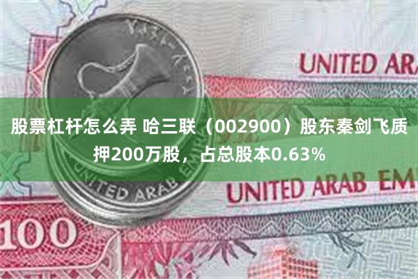 股票杠杆怎么弄 哈三联（002900）股东秦剑飞质押200万股，占总股本0.63%