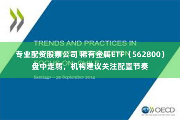 专业配资股票公司 稀有金属ETF（562800）盘中走弱，机构建议关注配置节奏